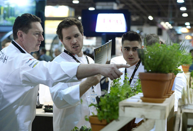 bocuse-d-or-2016-mti_kovacs_tamas.jpg