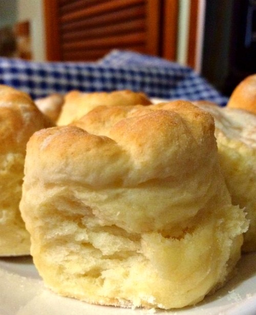 i-have-lost-count-of-the-number-of-times-i-have-used-this-easy-scone-recipe_1.jpg