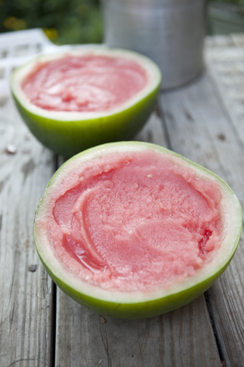 watermelon-lime-sorbet-slices-4_1.jpg